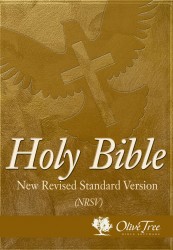 New Revised Standard Version - NRSV