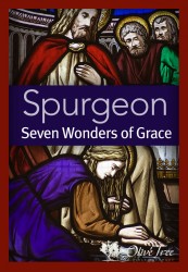 Seven Wonders of Grace