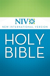 New International Version (NIV)