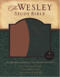 Wesley Study Bible Notes