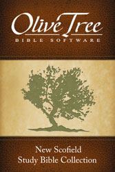 New Scofield Study Bible Notes with KJV