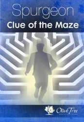 Clue of the Maze, The