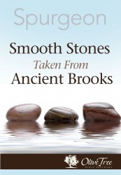 Smooth Stones Taken From Ancient Brooks