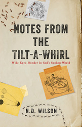 Notes From The Tilt-A-Whirl: Wide-Eyed Wonder in God