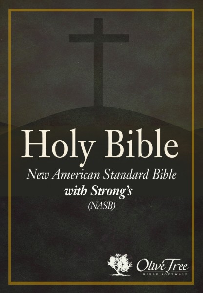 king james version bible software free download