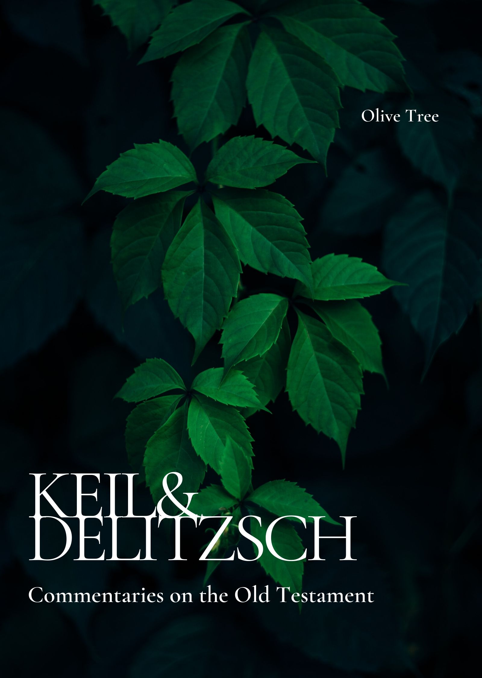 keil and delitsch