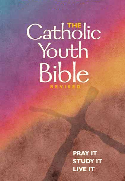 catholic-bible-study-guide-pdf