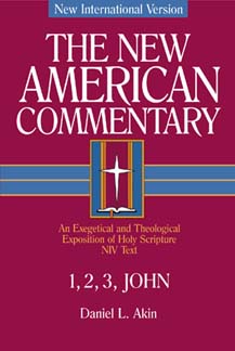 New American Commentary (NAC) Volume 38: 1, 2 & 3 John
