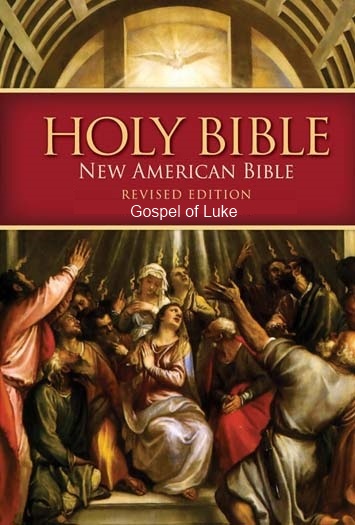 new american bible pdf free download