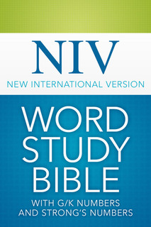 NIV Word Study with Strong's Numbers